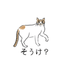 薩摩にゃん（個別スタンプ：33）