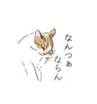 薩摩にゃん（個別スタンプ：34）