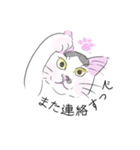 薩摩にゃん（個別スタンプ：38）