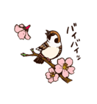 スズメのチュンチュンの日常（個別スタンプ：6）