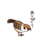 スズメのチュンチュンの日常（個別スタンプ：11）