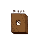 スズメのチュンチュンの日常（個別スタンプ：20）
