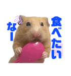 キンクマのもち様 vol.4（個別スタンプ：4）