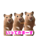 キンクマのもち様 vol.4（個別スタンプ：15）