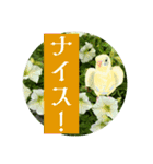 おしゃべり小鳥②カタカナ乙女文字日常便利（個別スタンプ：6）