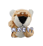 とらのことらこ④（個別スタンプ：1）