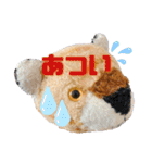 とらのことらこ④（個別スタンプ：2）