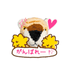 とらのことらこ④（個別スタンプ：11）