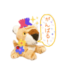 とらのことらこ④（個別スタンプ：12）