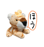 とらのことらこ④（個別スタンプ：13）