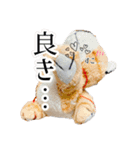 とらのことらこ④（個別スタンプ：14）