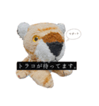 とらのことらこ④（個別スタンプ：16）