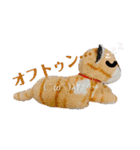 とらのことらこ④（個別スタンプ：17）