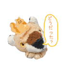 とらのことらこ④（個別スタンプ：19）