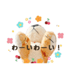とらのことらこ④（個別スタンプ：20）