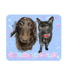 リューク＆ルナ 3（個別スタンプ：1）