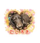 リューク＆ルナ 3（個別スタンプ：4）