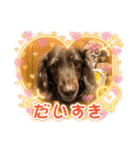 リューク＆ルナ 3（個別スタンプ：5）