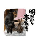 リューク＆ルナ 3（個別スタンプ：7）