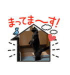 リューク＆ルナ 3（個別スタンプ：14）
