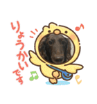 リューク＆ルナ 3（個別スタンプ：31）