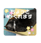 リューク＆ルナ 3（個別スタンプ：40）