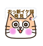 【書き込める】はちわれ猫の色々な顔♪恋猫（個別スタンプ：24）