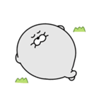 まんまるあざらし【LINEスタンプの日】（個別スタンプ：12）