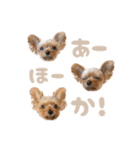 それってぴのよりかわいいの？（個別スタンプ：2）