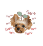 それってぴのよりかわいいの？（個別スタンプ：3）