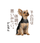 それってぴのよりかわいいの？（個別スタンプ：5）