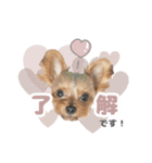 それってぴのよりかわいいの？（個別スタンプ：8）