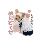 それってぴのよりかわいいの？（個別スタンプ：9）