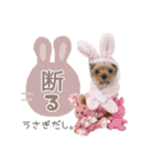 それってぴのよりかわいいの？（個別スタンプ：10）