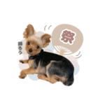 それってぴのよりかわいいの？（個別スタンプ：12）