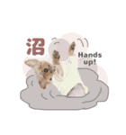 それってぴのよりかわいいの？（個別スタンプ：13）