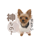 それってぴのよりかわいいの？（個別スタンプ：14）