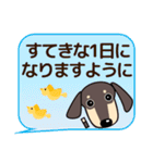 大人の優しい気遣い ダックスフンド タン（個別スタンプ：1）