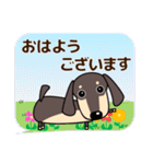 大人の優しい気遣い ダックスフンド タン（個別スタンプ：5）