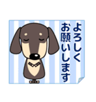 大人の優しい気遣い ダックスフンド タン（個別スタンプ：17）