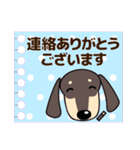 大人の優しい気遣い ダックスフンド タン（個別スタンプ：22）