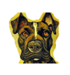 犬の油絵スタンプ ver1（個別スタンプ：9）