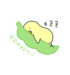豆ひよこの日常（個別スタンプ：6）