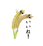 ギャグラサンず（植物）（個別スタンプ：5）