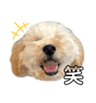 ちくわ君です。②（個別スタンプ：8）