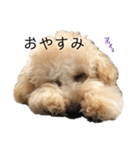 ちくわ君です。②（個別スタンプ：15）