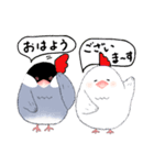 もこもこ文鳥の日常会話スタンプです。（個別スタンプ：1）