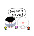 もこもこ文鳥の日常会話スタンプです。（個別スタンプ：7）