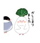 もこもこ文鳥の日常会話スタンプです。（個別スタンプ：10）