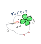 もこもこ文鳥の日常会話スタンプです。（個別スタンプ：19）